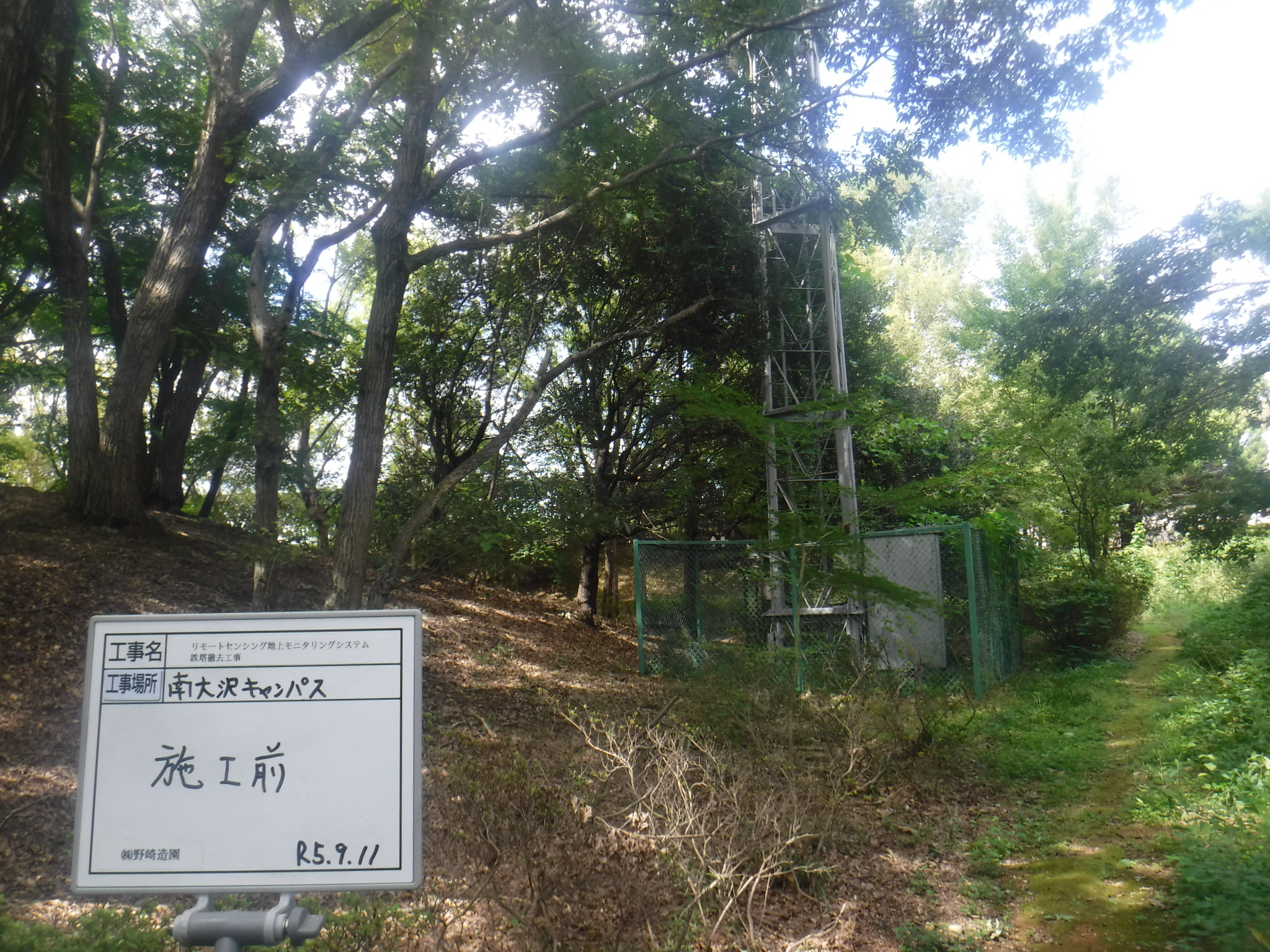 撤去前